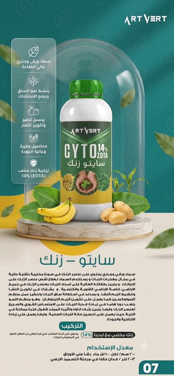 سايتو زنك
